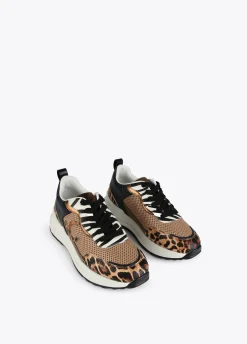 Sneakers animal print rejilla |  COLECCIÓN LOLA | Lola Casademunt